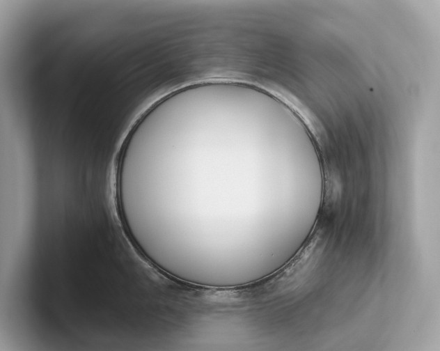 X0000101391006200807211009