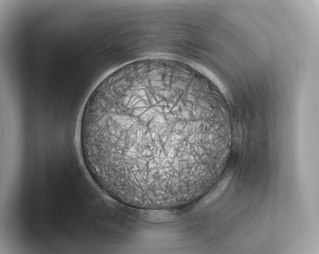 X0000101391007200807211009