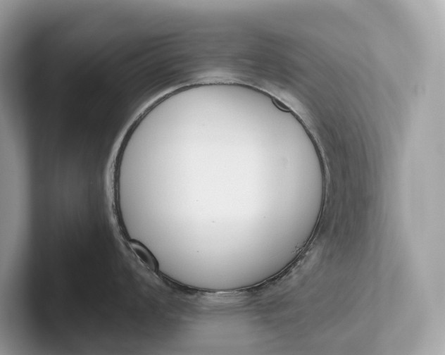 X0000101391008200807211009