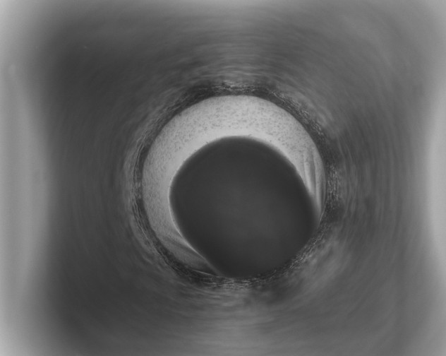 X0000101391009200807211008