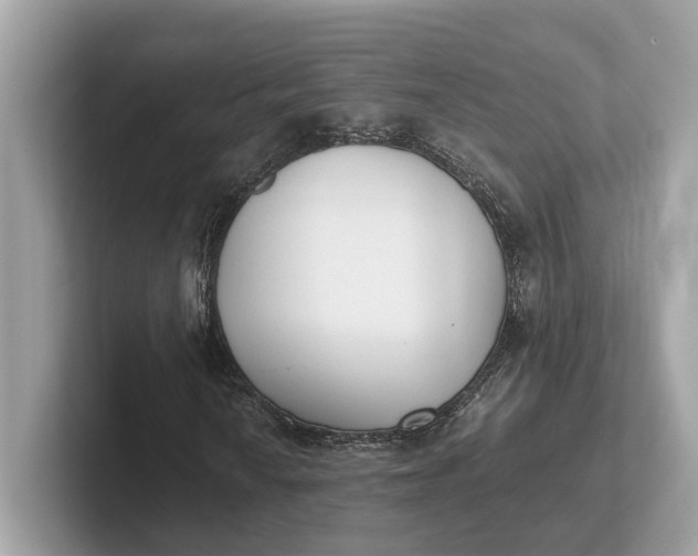 X0000101391010200807211008