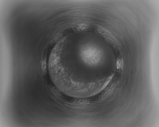 X0000101391011200807211008