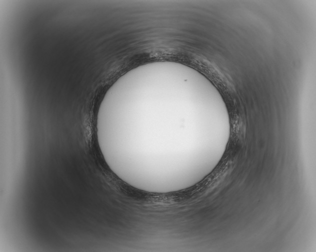 X0000101391012200807211008