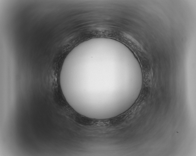 X0000101391013200807211008