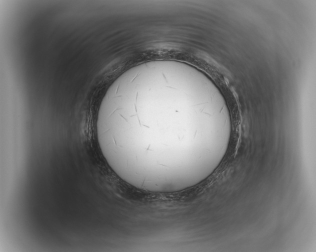 X0000101391014200807211008