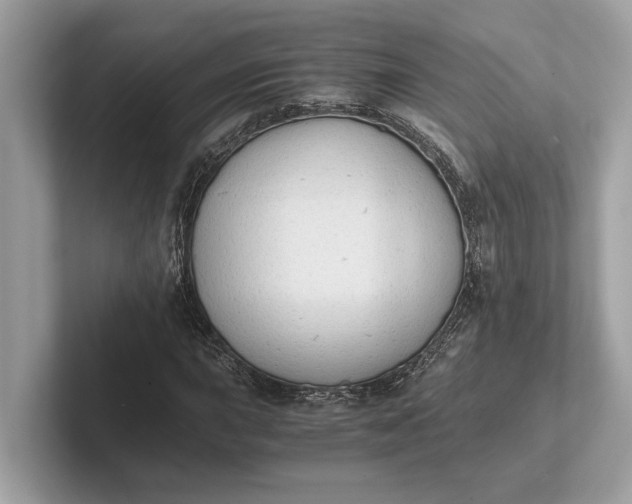 X0000101391015200807211009