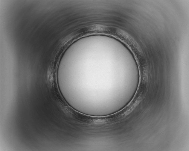 X0000101391017200807211009