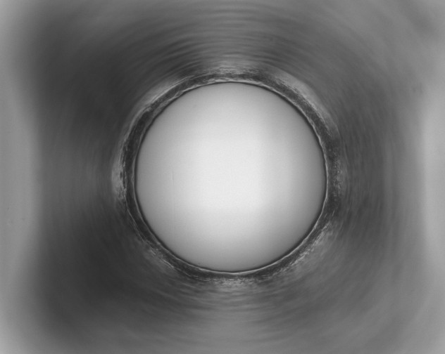 X0000101391018200807211009