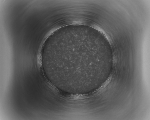 X0000101391019200807211009