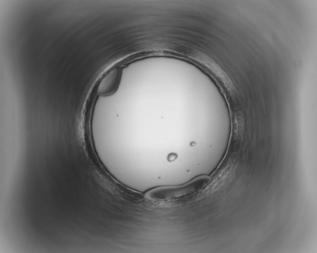 X0000101391020200807211009