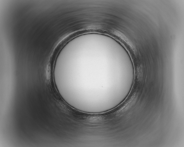 X0000101391021200807211009