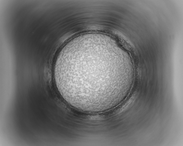 X0000101391025200807211009