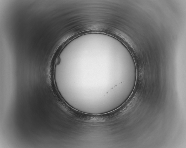 X0000101391026200807211009