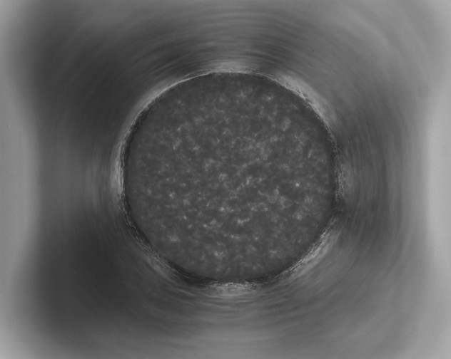 X0000101391027200807211009