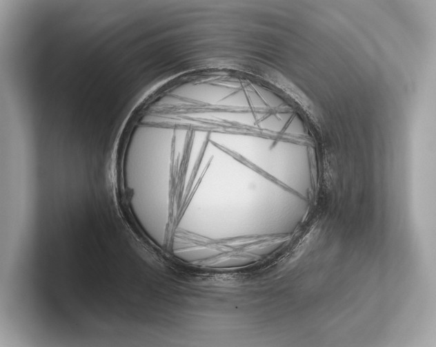 X0000101391028200807211009