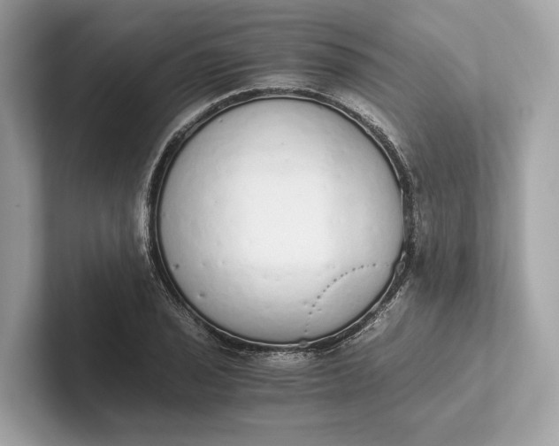 X0000101391029200807211009