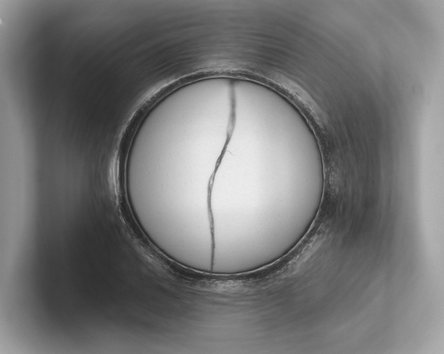 X0000101391030200807211009