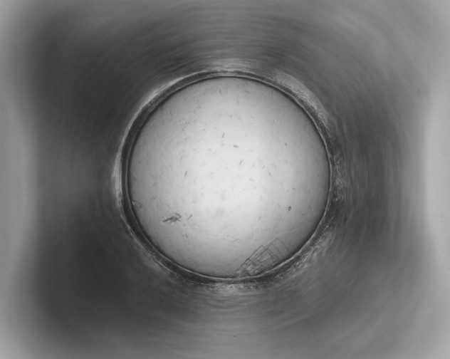 X0000101391032200807211009