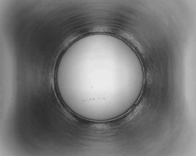 X0000101391033200807211009