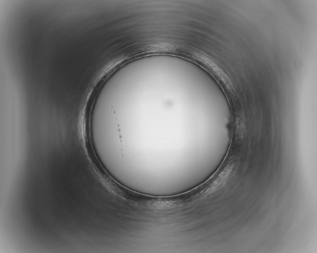 X0000101391034200807211009