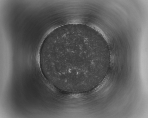 X0000101391035200807211009