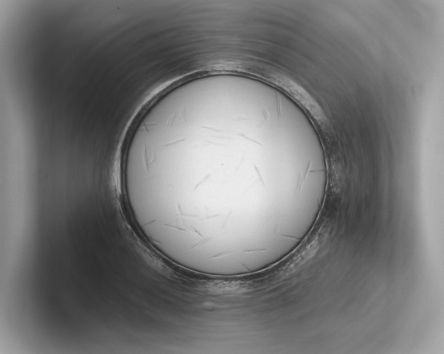 X0000101391036200807211009