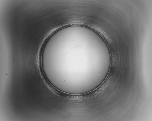 X0000101391038200807211009