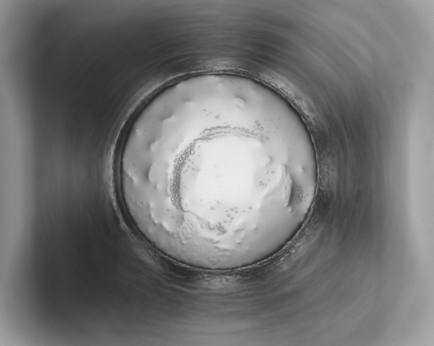 X0000101391039200807211009