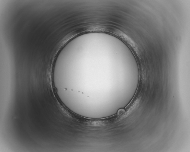 X0000101391041200807211009