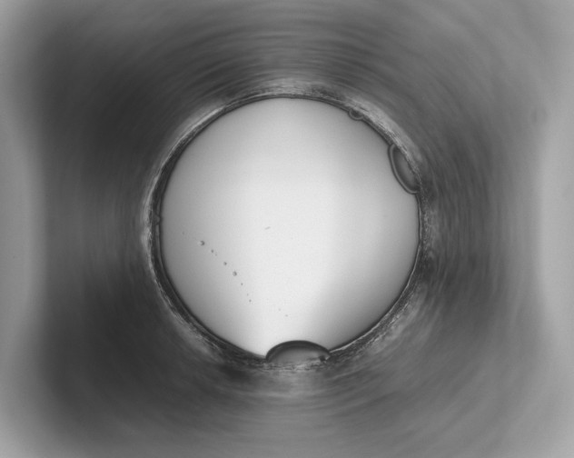 X0000101391042200807211009