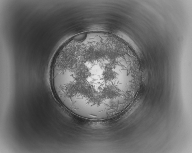 X0000101391043200807211009