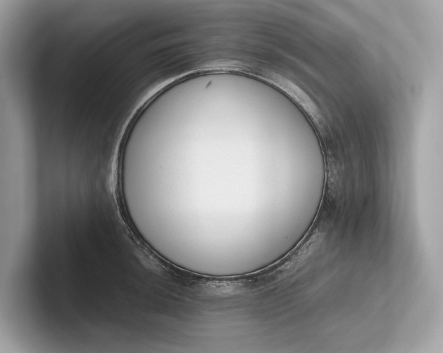 X0000101391044200807211009