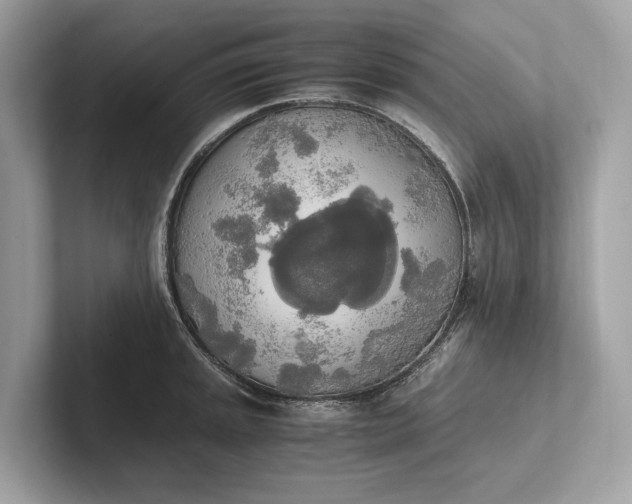 X0000101391045200807211009