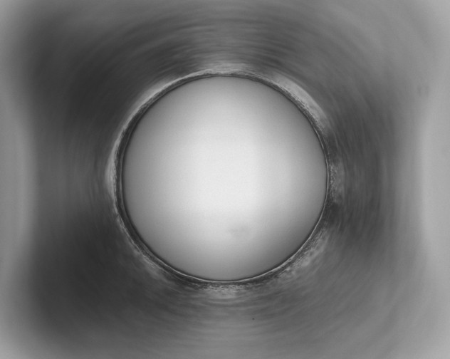 X0000101391046200807211009