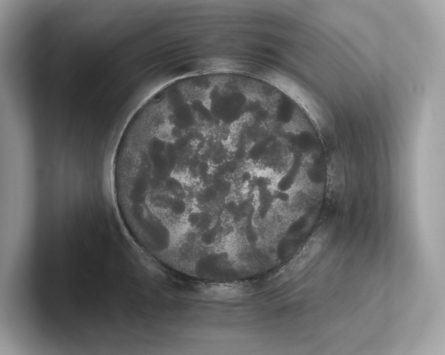 X0000101391047200807211009