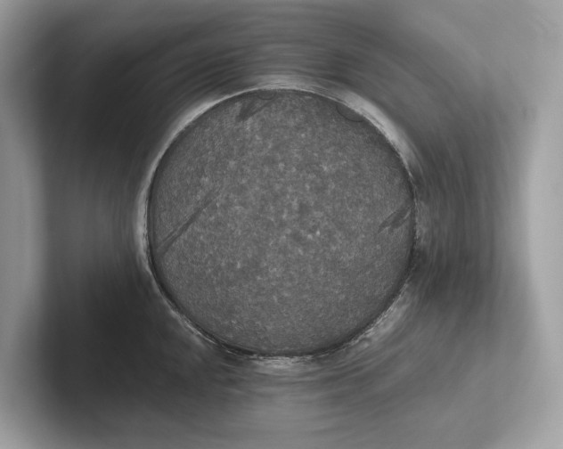 X0000101391048200807211009