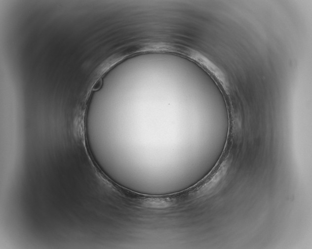 X0000101391049200807211009