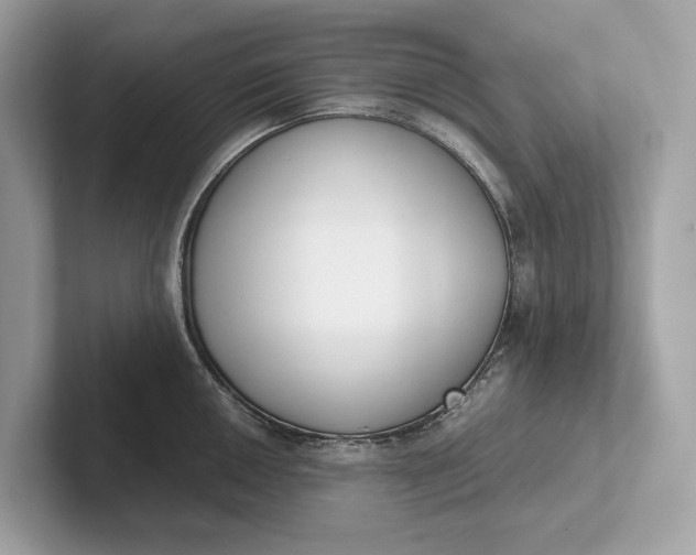 X0000101391050200807211009