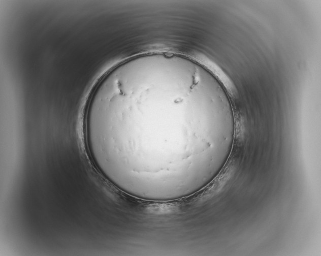 X0000101391051200807211009