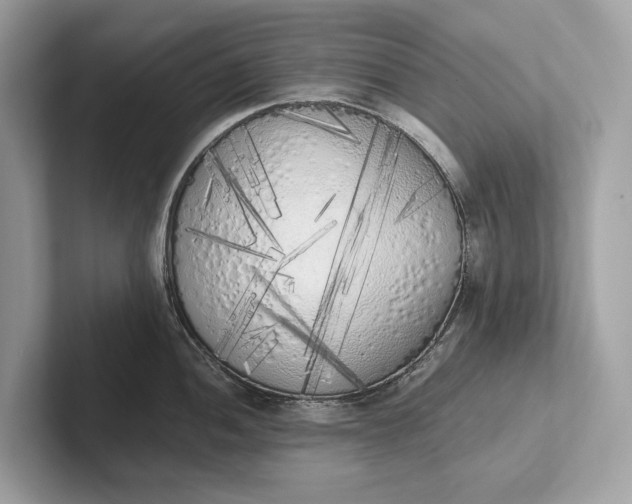 X0000101391052200807211009