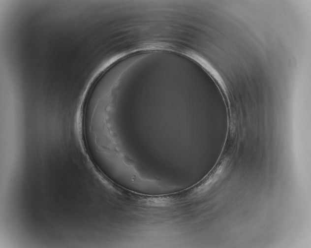 X0000101391053200807211009