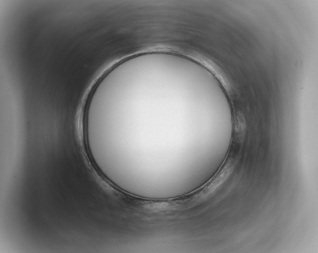 X0000101391054200807211009