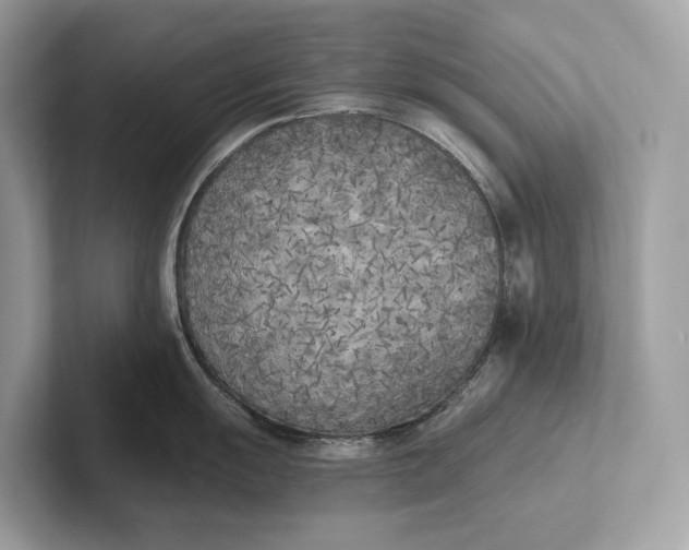 X0000101391055200807211009