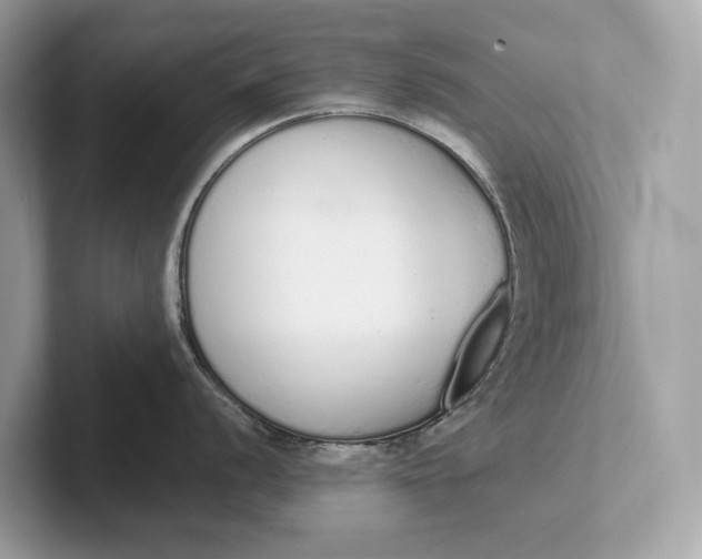 X0000101391056200807211009