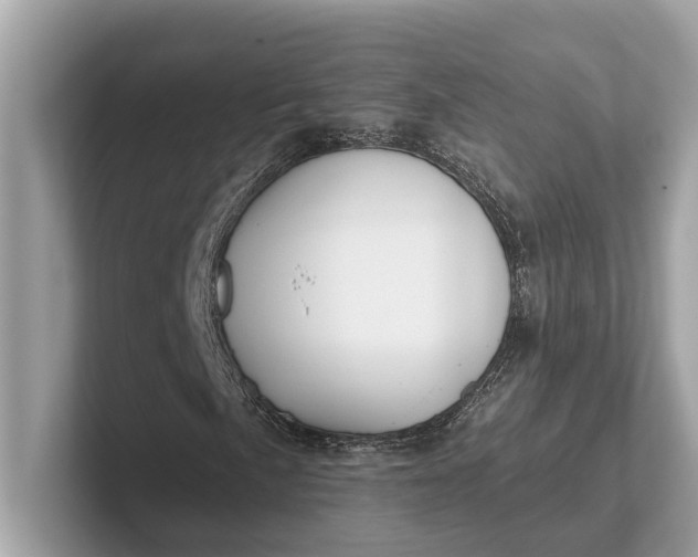 X0000101391057200807211008