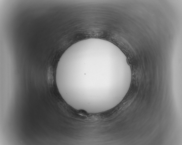 X0000101391058200807211008