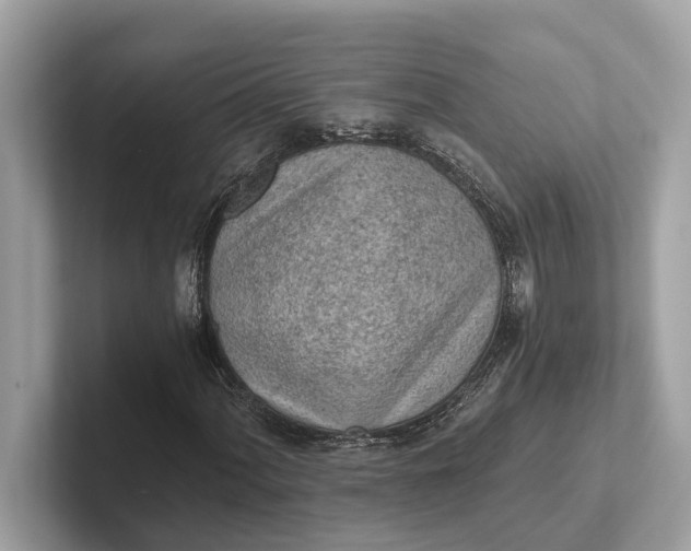 X0000101391060200807211008