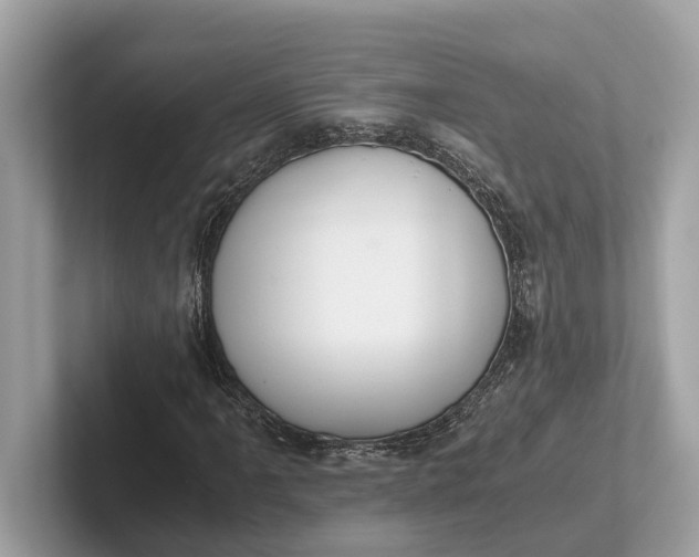 X0000101391061200807211008