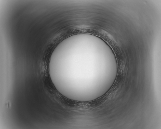 X0000101391062200807211008