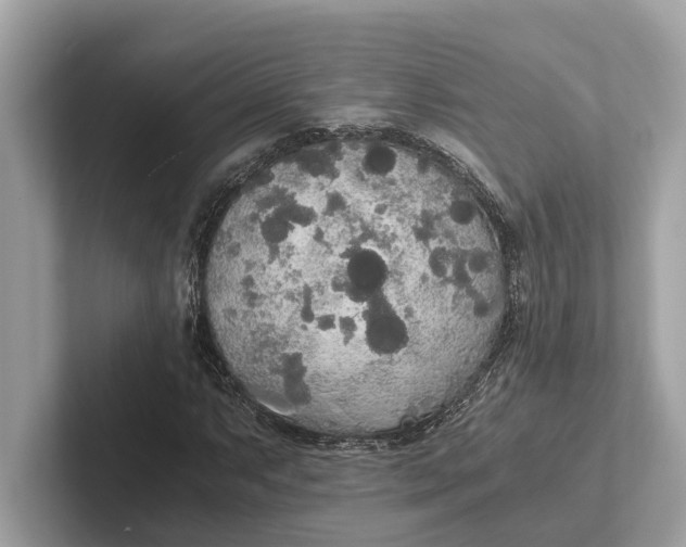 X0000101391063200807211008